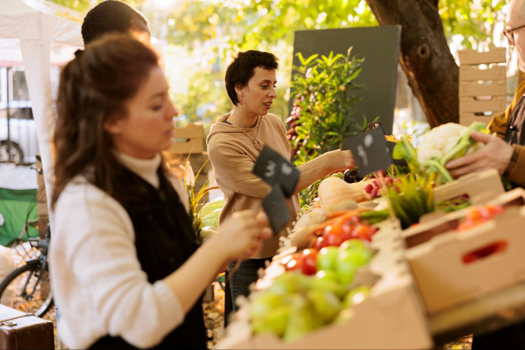 Top 5 Family-Friendly Events in Quincy